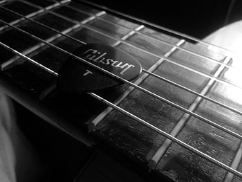 Strings, Gibson Guitars HD wallpaper
