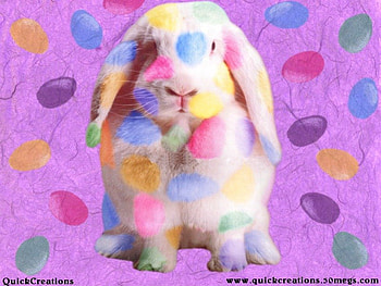 why me, spotsy, easter, to you HD wallpaper