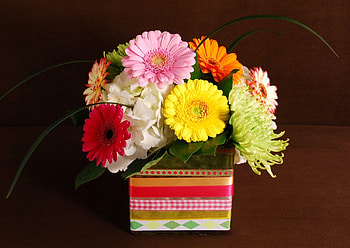 Flowers, Leaves, Chrysanthemum, Gerberas, Registration, Typography, Box, Composition, Hydrangea HD wallpaper
