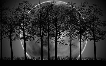 Of Black Moon HD wallpaper