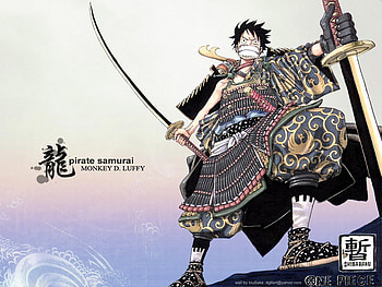 Monkey D. Luffy, luffy, pirate, sword, anime, samurai, one piece HD wallpaper