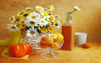 *Still Life*, moments, vase, eggs, spring, orange, daisies, bottle, still life, breakfast, air, flowers, lovely HD wallpaper