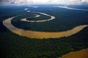 Amazon River, Amazon Rain Forest HD wallpaper