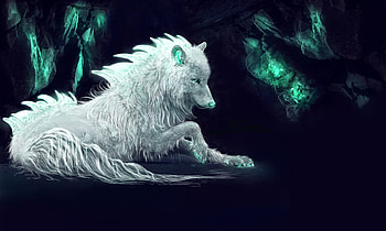 White Wolf Fan Art, wolf, white, art, artist, digital-art, deviantart HD wallpaper