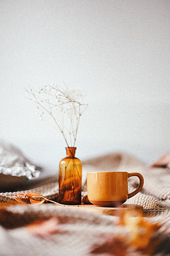 Miscellanea, Miscellaneous, Cup, Brown, Branch, Bouquet, Vase, Mug HD phone wallpaper