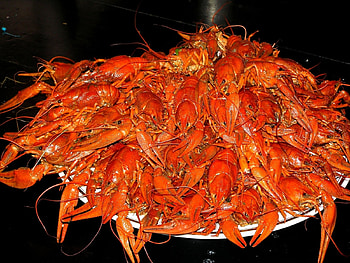Food, Crayfish HD wallpaper
