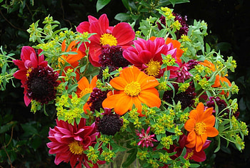 Flowers, Bright, Close-Up, Bouquet HD wallpaper