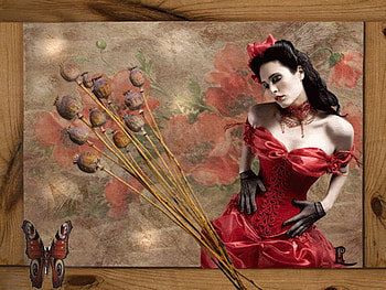 poppy, lady, crimson, butterfly, dream HD wallpaper
