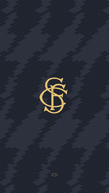 Santos fc, , 13 pro Max, futebol HD phone wallpaper