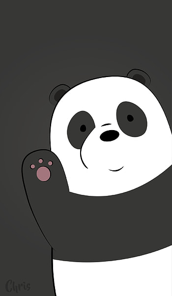 Bare Bears, Steven Universe, Funds, Screen HD phone wallpaper