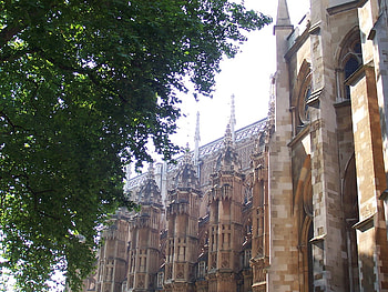 Westminster Abbey, europe, graphy, trees, churches, uk, london, cathedrals HD wallpaper