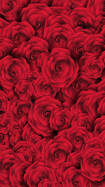 Red Roses, red rose, flower, earth, nature, rose HD phone wallpaper