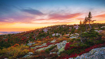 An autumn evening in Acadia National Park, Maine, trees, autumn, landscape, colors, clouds, sky, rocks, usa HD wallpaper