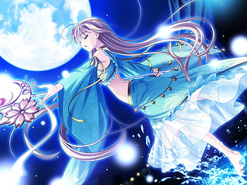 Elsterrier Marigold, night, blue, magic, arabian clothes, moon, arabian, girl HD wallpaper