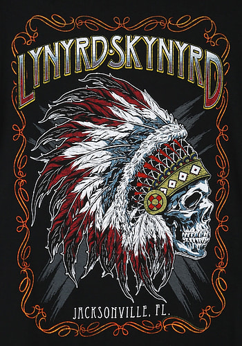 Lynyrd Skynyrd, Music HD phone wallpaper