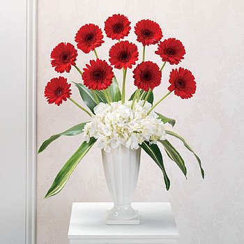 Flowers, soft, nature, red HD wallpaper
