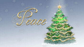 PEACE, holiday, lights, christmas, christmas tree, tree HD wallpaper
