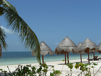 It Looks So Nice Out There, shade, sand, ocean, tree HD wallpaper