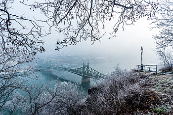 Cities, Winter, Snow, View From Above, Fog, Branches, Bridge, Frost, Hoarfrost, Hungary, Budapest HD wallpaper