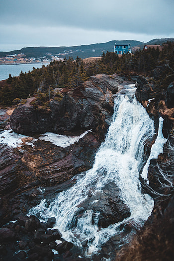 Nature, Rivers, Trees, Flow, Foam, Stream, Rocky Shore, Creek, Brook, Stony Coast, Fast, Quick, Noisy HD phone wallpaper