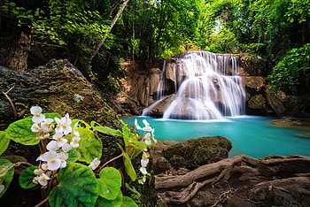 Waterfall in Thailand, trees, waterfall, rocks, forest, stones, Thailand, Asia, exotic, beautiful, wildflowers, greenery, view HD wallpaper