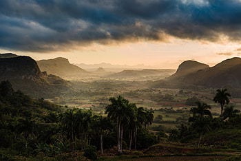 Nature, Mountains, Clouds, Palms, Fog HD wallpaper
