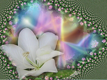 Silk flowers, white, petals, flower, lily HD wallpaper