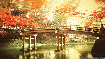 45 Japan , Creative Japan , Full HD wallpaper