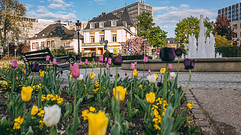 Luxembourg, Travels, Introduction, Expatica HD wallpaper