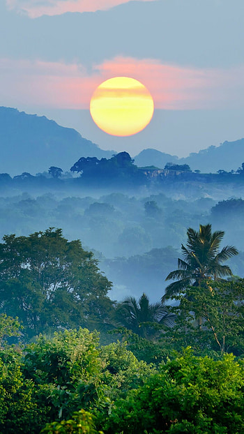 Sunset, Jungles HD phone wallpaper