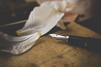 Miscellanea, Miscellaneous, Petals, Text, Metal, Metallic, Pen, Letter HD wallpaper