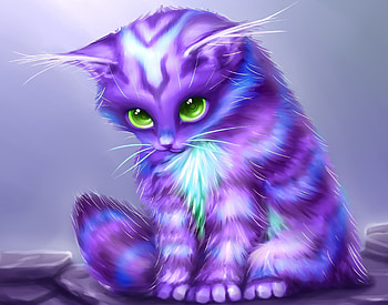 Cats Fantasy cat kitten baby cute psychedelic background . HD wallpaper