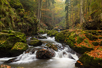 Nature, Rivers, Trees, Stones, Flow, Moss, Stream HD wallpaper