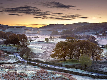 Nature, Trees, Field, Morning, Fence, Frost, Hoarfrost HD wallpaper