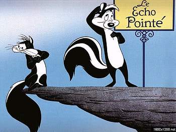 Pepe Le Pew, cat, pepe, skunk, le pew HD wallpaper