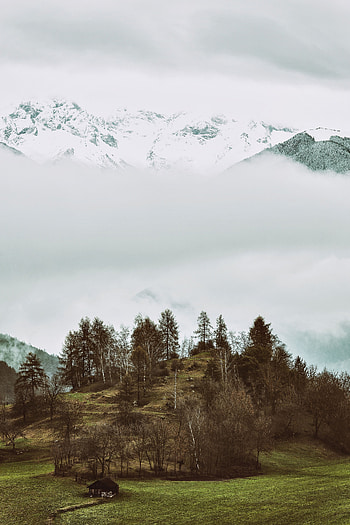 Nature, Trees, Mountains, Fog, Relief, Hilly HD phone wallpaper