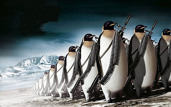 Animals, Pinguins HD wallpaper