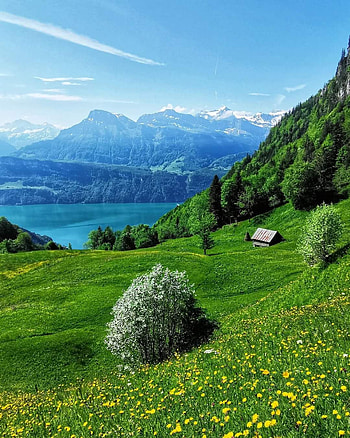 Lush green Switzerland, cloud, sky HD phone wallpaper