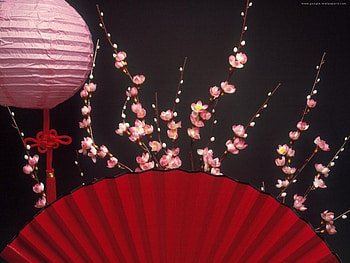 Japanese Fastival, japanese, japanese fastiva, fastival HD wallpaper
