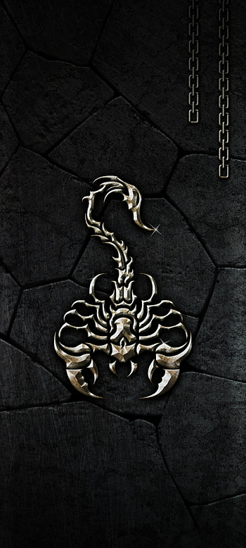 Strong Scorpion HD phone wallpaper
