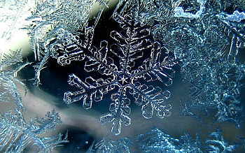 Winter, Ice, Macro, Snowflake HD wallpaper