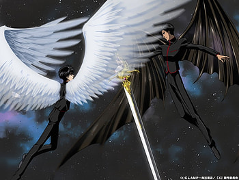 Fight, white, black, sword, winged, evil, good HD wallpaper