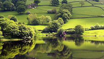 Nature, Rivers, Trees, Grass, Dahl, Distance, Elevation HD wallpaper