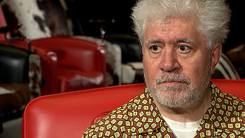 Director Pedro Almodovar, Semi-autobiographical film, Pain and Glory, Refusing to work in Hollywood HD wallpaper