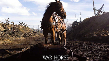 War Horse, Historical drama, Powerful bond, Emotional journey HD wallpaper