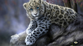 Playful snow leopard cub, cub, art, wild animals, cats, , cute, snow leopard, digital art, wild, big cats, leopard, wildlife, painting, animals, nature HD wallpaper