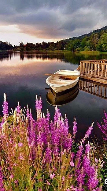 Beautiful For, Sea HD phone wallpaper