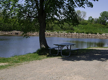 untitle7, trees, river HD wallpaper