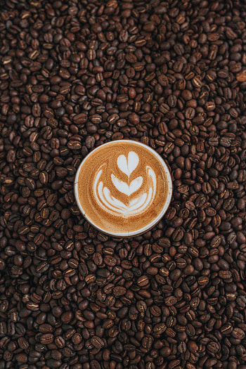 Food, Coffee, Cup, Foam, Grains, Meerschaum, Drink, Beverage, Grain, Mug HD phone wallpaper