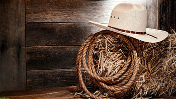 7. country-music--7- HD wallpaper